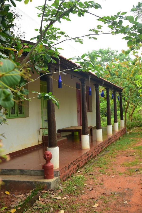 Paradise Quest Nature Farmhouse Villa Kālapettai Dış mekan fotoğraf